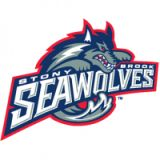 Stony Brook Seawolves